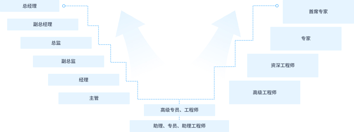 职业发展框架
